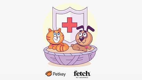 Petkey Plus Upgrade