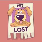 Lost Pet Image